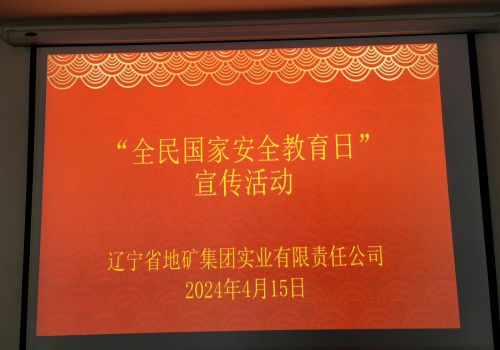 实业公司开展“全民国家安全教育日”和《信访工作条例》学习宣传活动